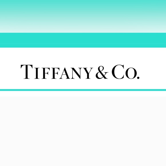 Tiffany & Co. Exquisite Elsa Peretti Ballpoint Pen NWOT - Picture 2 of 14